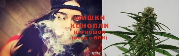 прущие грибы Кулебаки