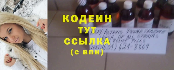 прущие грибы Кулебаки