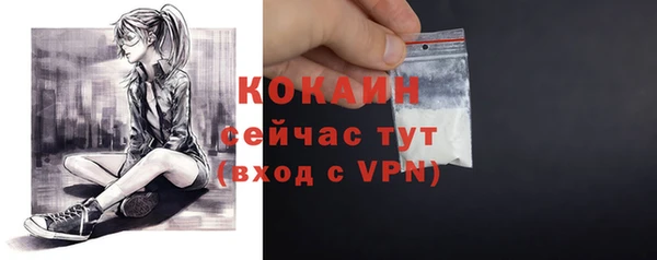 прущие грибы Кулебаки