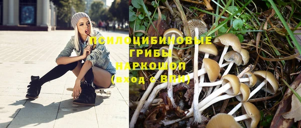 мяу мяу кристалл Лабытнанги