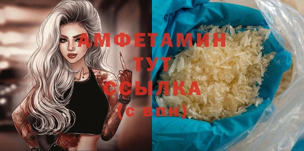 прущие грибы Кулебаки