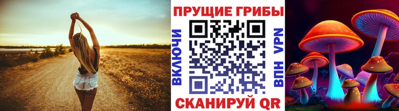 площадка формула  Мещовск  Псилоцибиновые грибы ЛСД  наркошоп 